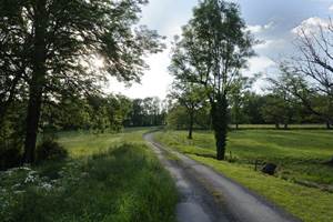 chemin-de-randonne´e-a`-travers-la-campagne